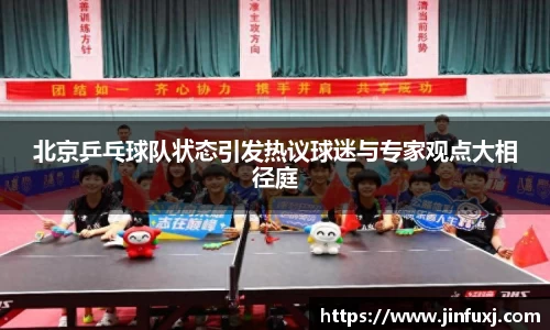 北京乒乓球队状态引发热议球迷与专家观点大相径庭